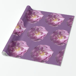 Regalo Papel de envolvimiento brillante de rosas rosadas