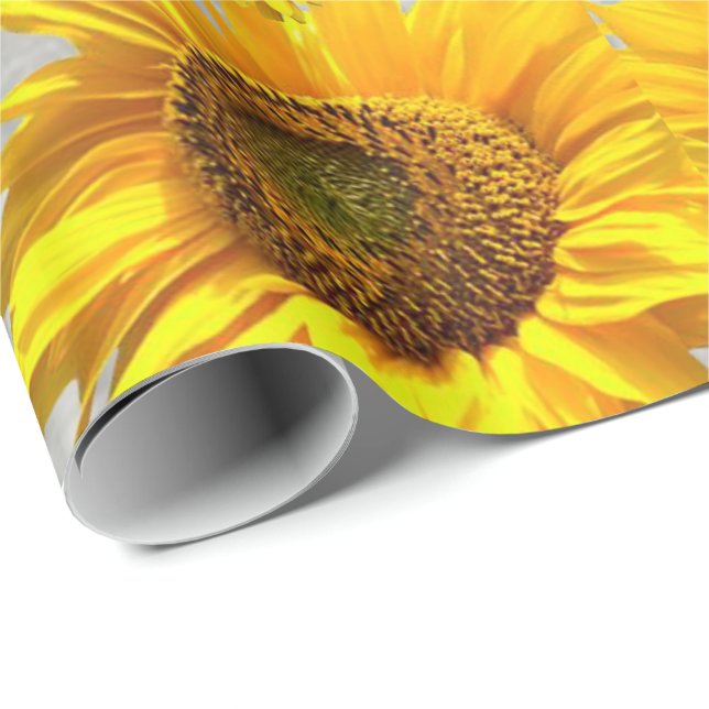 Regalo Papel de envolvimiento brillante Gato Gatito Gatit (Esquina del rollo)