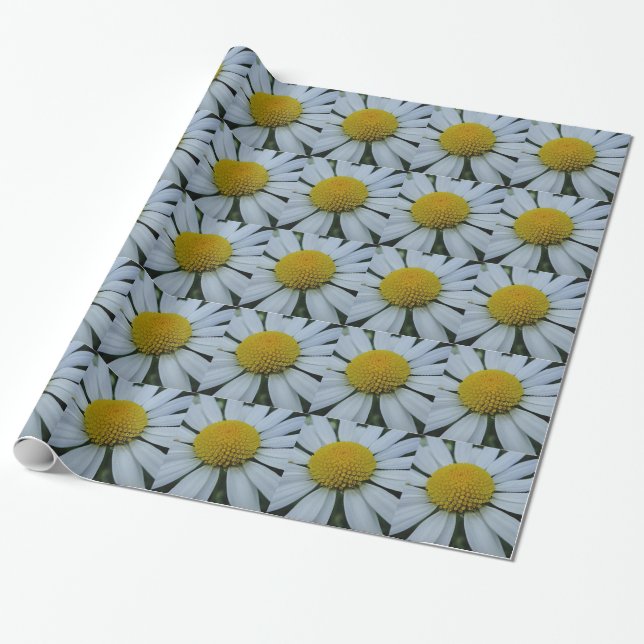 Regalo Papel de envolvimiento crisantemo blanco (Desenrollado)