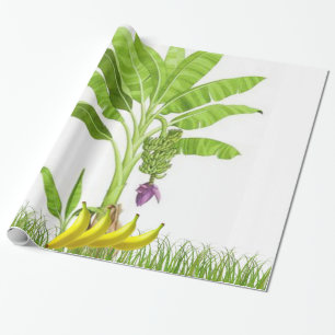 Regalo Papel de envolvimiento de árboles plátanos