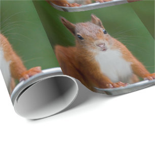 Regalo Papel de envolvimiento de ardilla sedienta