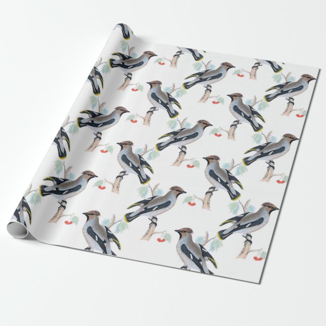 Regalo Papel de envolvimiento de aves viejas (Desenrollado)