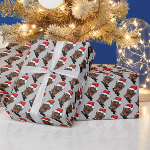 Regalo Papel de envolvimiento de Dachshund, Navidades de