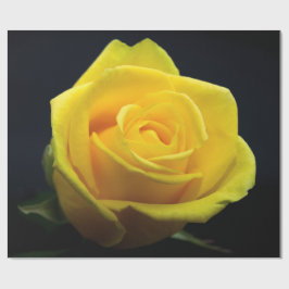 Regalo Papel de envolvimiento de El día de San Valentín r