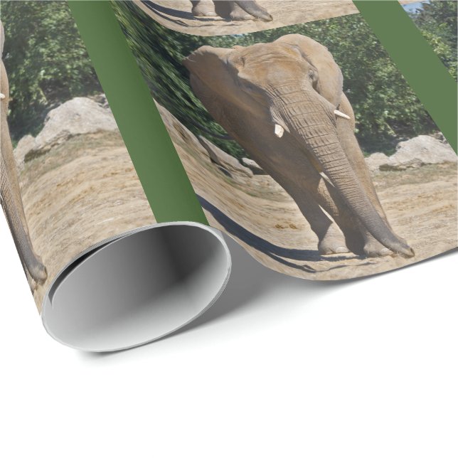 Regalo Papel de envolvimiento de elefantes africanos (Esquina del rollo)
