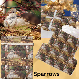 Regalo Papel de envolvimiento de espárragos para navidade