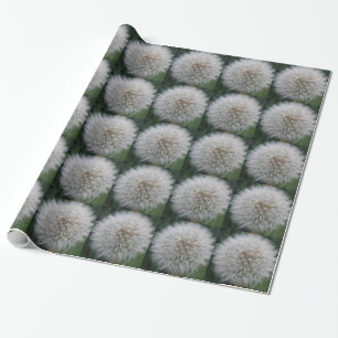 Regalo Papel de envolvimiento de flores de Dandelion de s