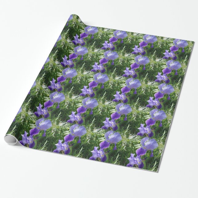 Regalo Papel de envolvimiento de flores moradas (Desenrollado)