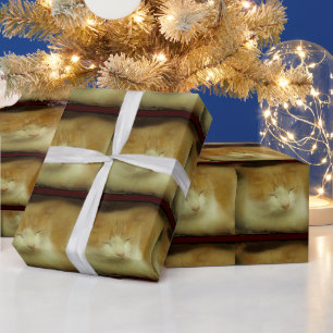 Regalo Papel de envolvimiento de gatos gitanos dulce