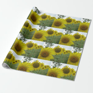 Regalo Papel de envolvimiento de girasoles mate