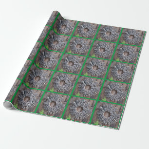 Regalo Papel de envolvimiento de jardinería Zen