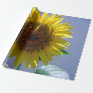 Regalo Papel de envolvimiento de lino de girasol
