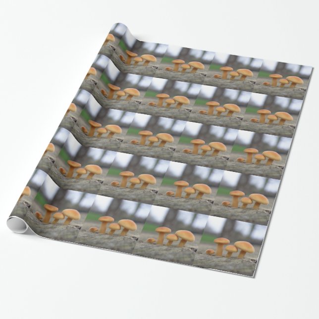 Regalo Papel de envolvimiento de macros para toadstools p (Desenrollado)