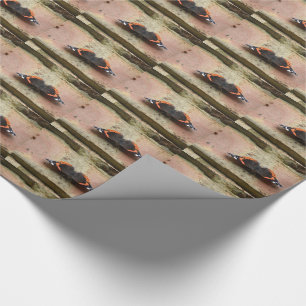 Regalo Papel de envolvimiento de mariposa del Almirante R