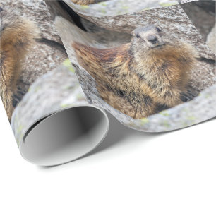 Regalo Papel de envolvimiento de marmota alpina