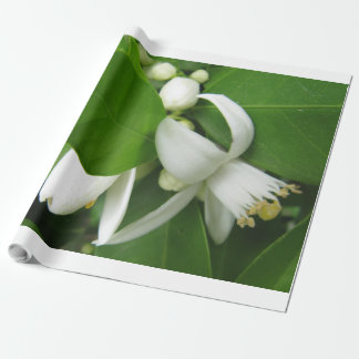 Regalo Papel de envolvimiento de naranja Blossom