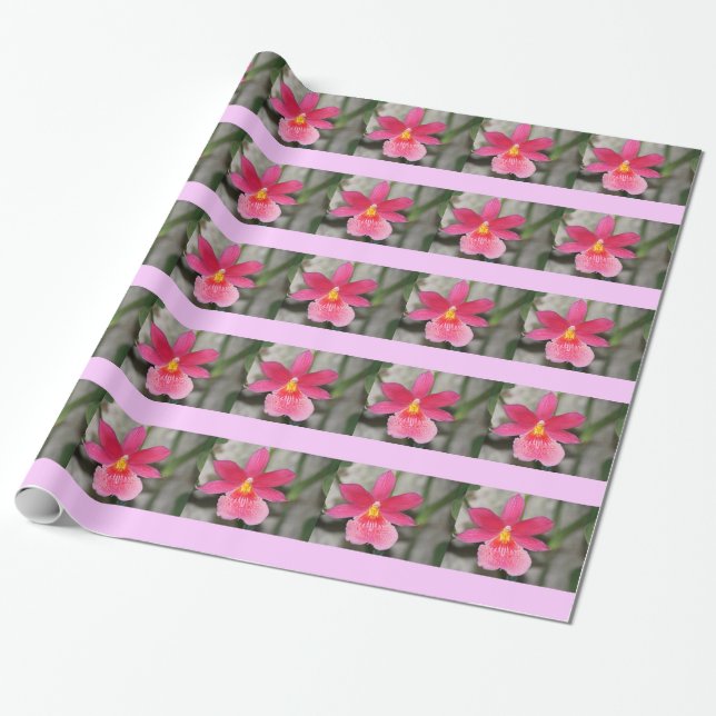 Regalo Papel de envolvimiento de orquídeas rosadas (Desenrollado)