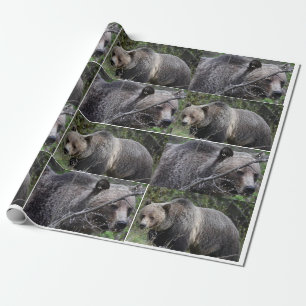 Regalo Papel de envolvimiento de oso pardo