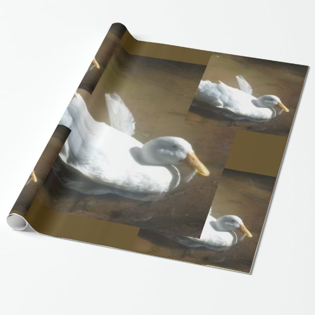 Regalo Papel de envolvimiento de pato (Desenrollado)