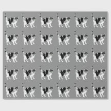 Papel de envolvimiento de PATRÓN CAT NEGRO Y BLANC