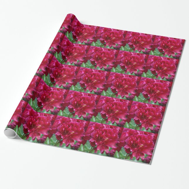 Regalo Papel de envolvimiento de peones rojos (Desenrollado)