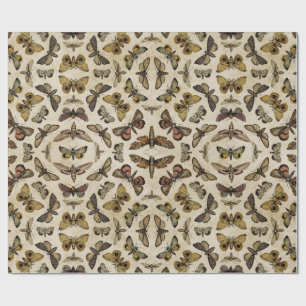 Regalo Papel de envolvimiento de polillas de época