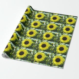 Regalo Papel de envolvimiento del jardín de girasoles