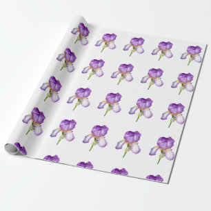 Regalo Papel de envolvimiento del patrón Iris púrpura b