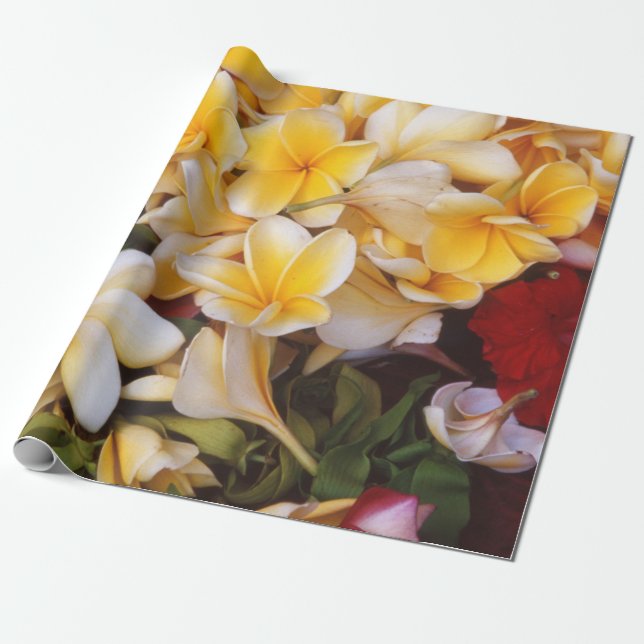 Regalo Papel de envolvimiento floral de Frangipani (Desenrollado)