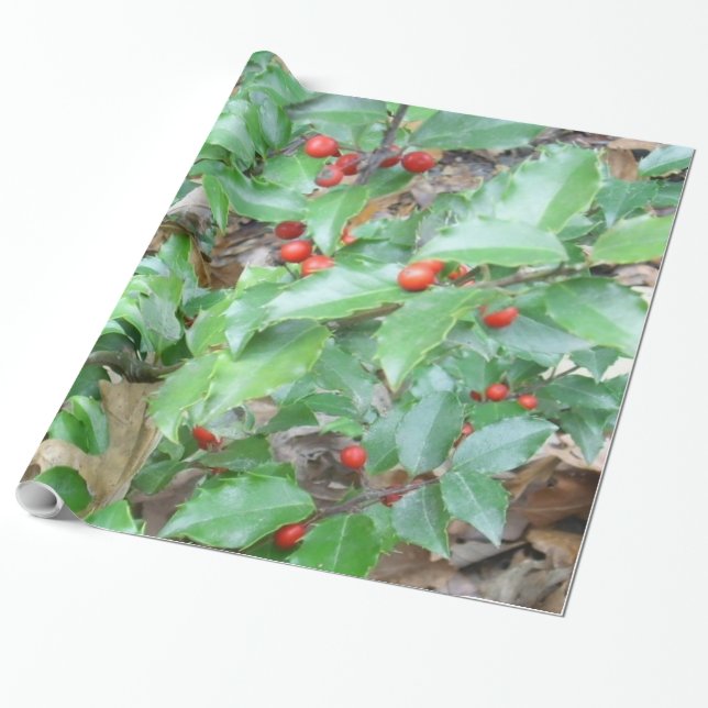 Regalo Papel de envolvimiento Holly-n-Berry (Desenrollado)
