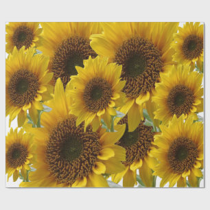 Regalo Papel de girasol de envoltura mate