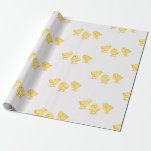 REGALO PAPEL DE RAPAS
