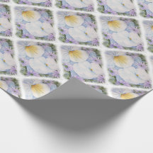 PAPEL DE RAPAS DE FIESTA DE PANSÍA BLANCA