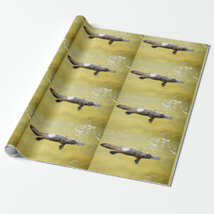 REGALO PAPEL DE RAPAS DE PLATYPUS AUSTRALIA