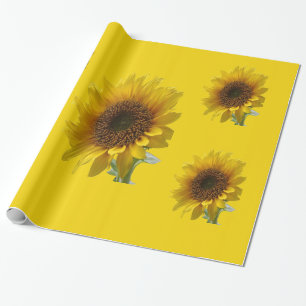 Regalo Papel de relleno de girasol