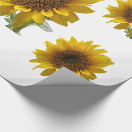 Regalo Papel de relleno de girasol