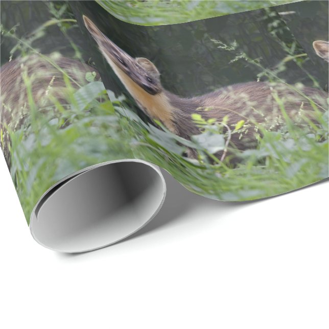 Regalo Papel de relleno de martín de Meadow (Esquina del rollo)