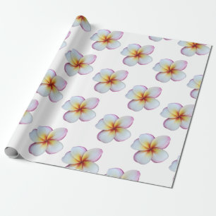 Regalo Papel de relleno de Plumeria Rosada Caliente