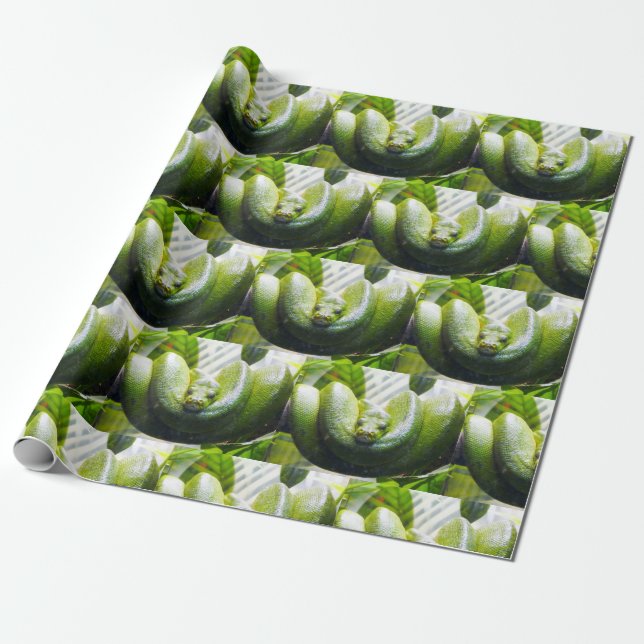 Regalo Papel de relleno de serpiente verde (Desenrollado)