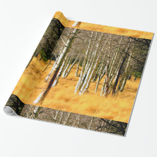 Regalo papel envolvente del bosque de álamos