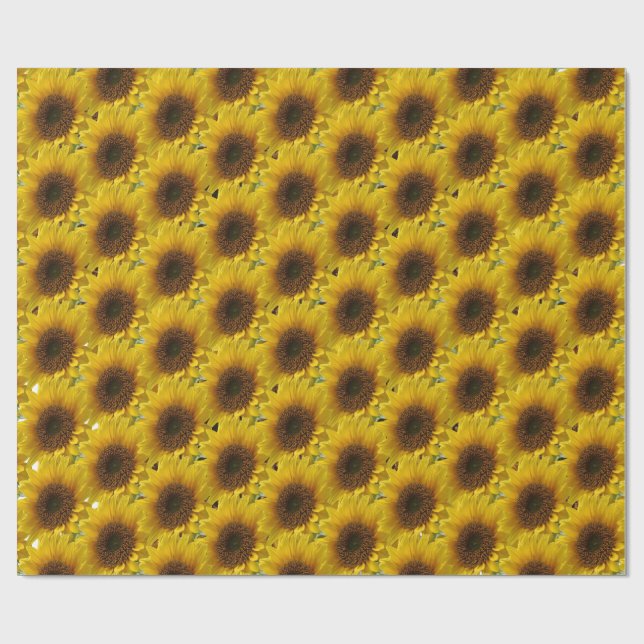 Regalo Papel girasol de envoltura mate (Superficie plana)