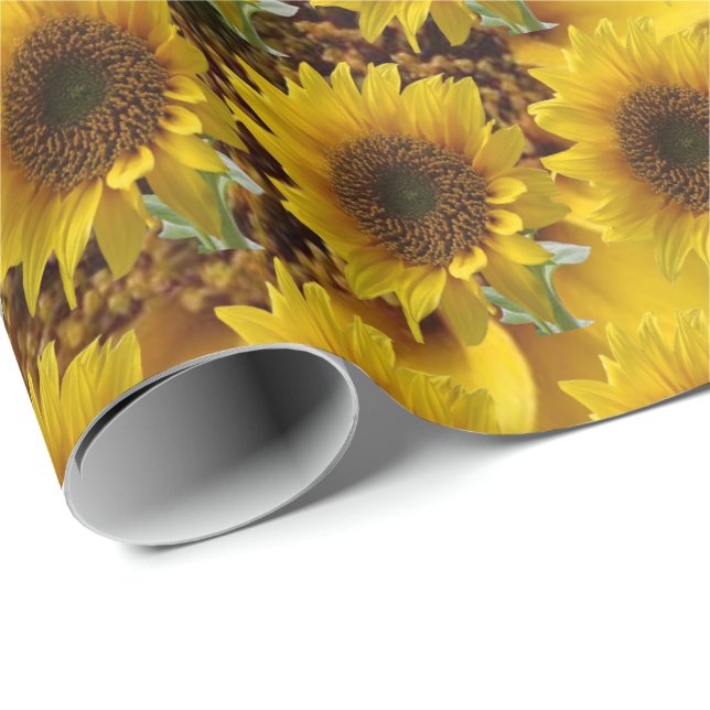 Regalo Papel girasol de envoltura mate (Esquina del rollo)