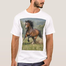 Regalo para amantes de caballos Camiseta de hombre