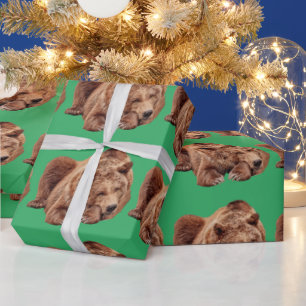 REGALO RESTABLECIMIENTO DE PAPEL DE VESTIDOR DE OSO GRIZO