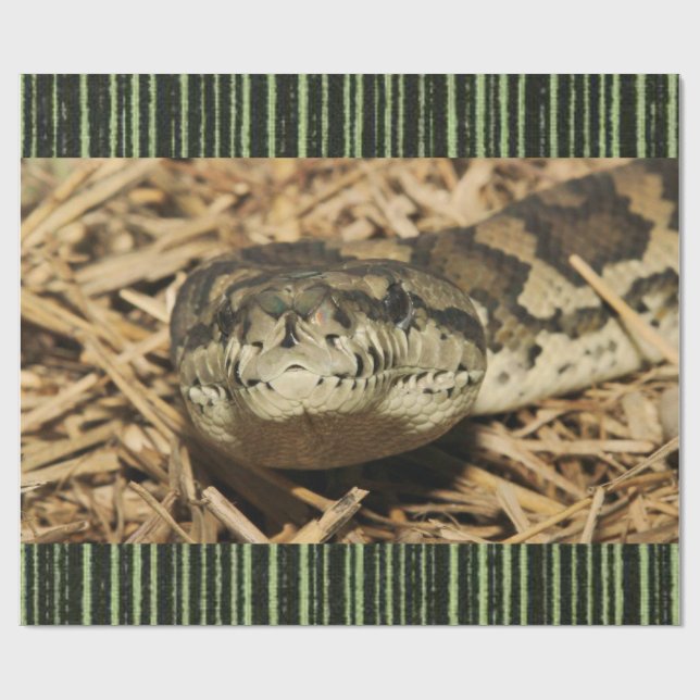 Regalo Snack de papel de envolvimiento brillante (Superficie plana)