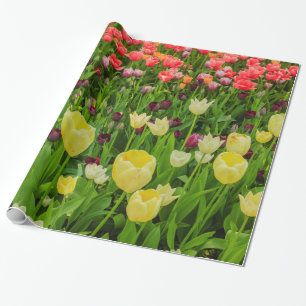 Regalo tulipanes en papel de envolver brillante