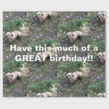 Un gracioso rollo húngaro de papel envolvente