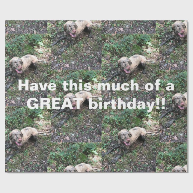 Regalo Un gracioso rollo húngaro de papel envolvente (Superficie plana)