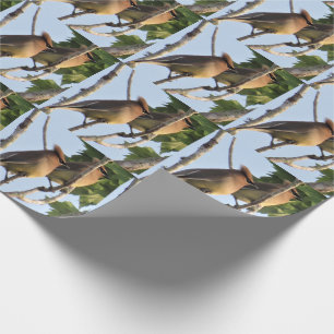 Regalo Waxwing Cedar - Rollo de papel para envolver aves 
