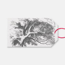 Regalos Alicia vintage en etiquetas de regalo para gatos c